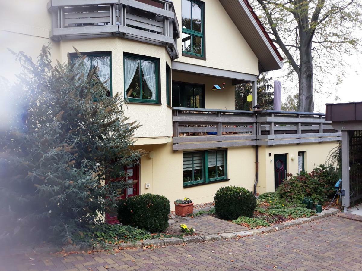 Ferienwohnung Oberloschwitz Dresden Dış mekan fotoğraf
